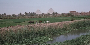 Nile canal near ancient Ankh-Tawi (Memphis-Cairo)